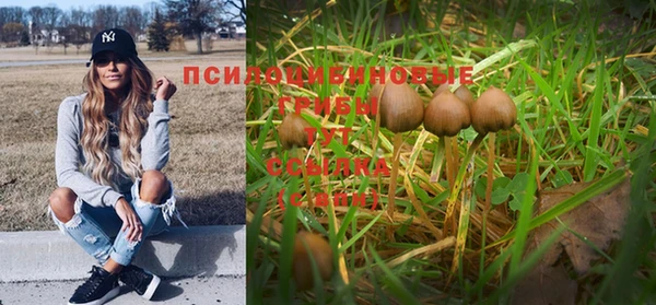 кристаллы Абаза
