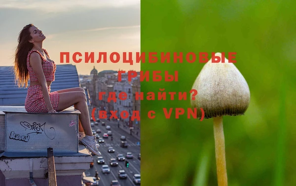 кристаллы Абаза