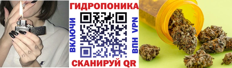 Конопля ГИДРОПОН Кириллов